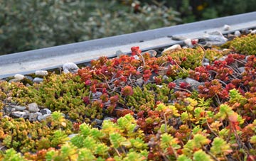 the cost of Middleham green roof installation